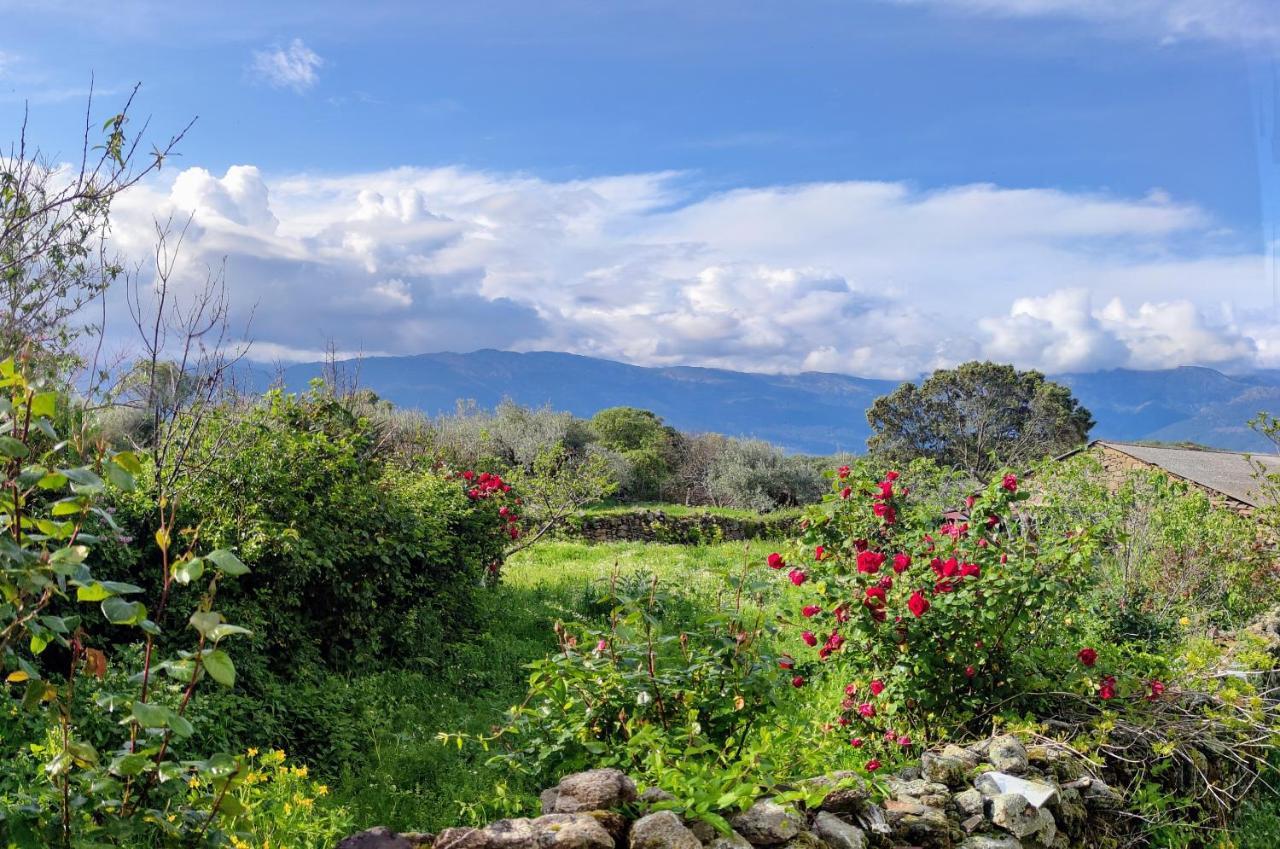 Tu Casa De Pueblo Villa La Iglesuela ภายนอก รูปภาพ